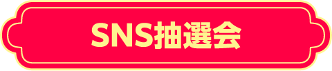SNS抽選会
